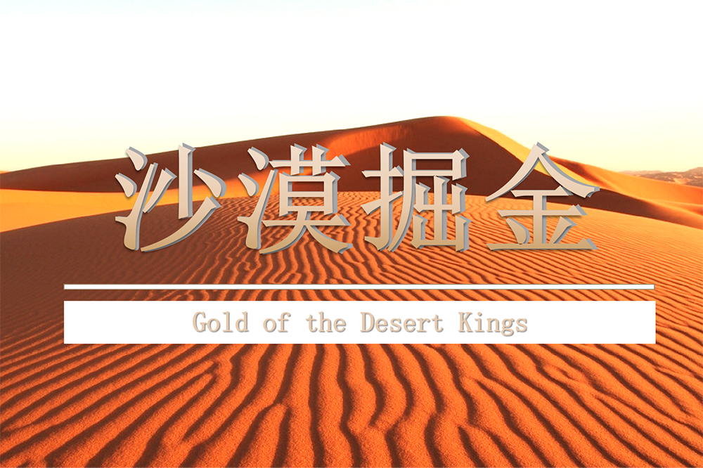 沙漠掘金